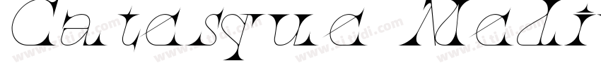 Catesque MediumItali字体转换 Catesque MediumItali字体转换